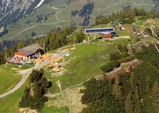 Berggasthof mit Terrasse und Wanderwegen in grüner Alpenlandschaft bei Sonnenschein, Wiesen und Wald in Werfenweng.